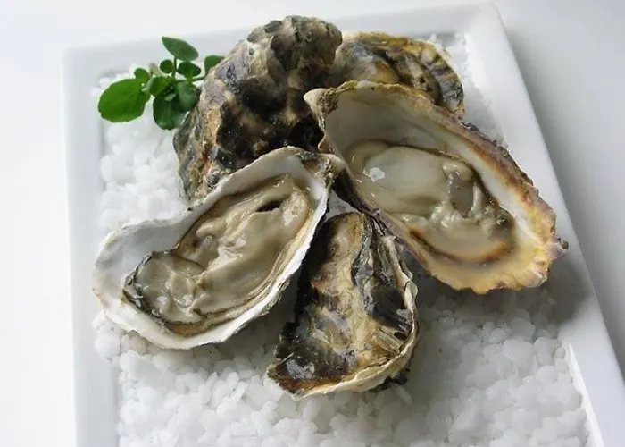 بيت للعطل Les Ilous Proche